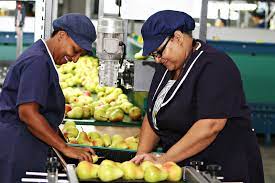 Job Openings For Fruit Packers in Canada