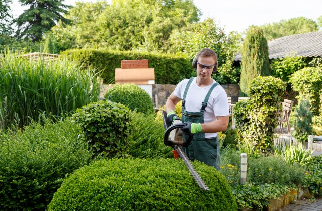 Groundskeepers in the USA: Everything You Need to Know