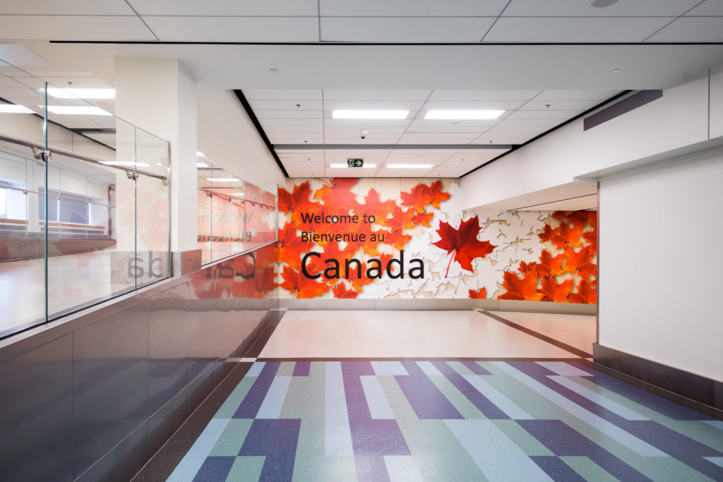 A Look at Canada's Tech Industry: Opportunities for English Speakers