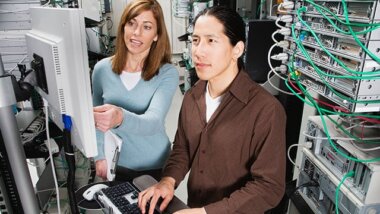 Database Administrator Salary NZ: Command $83,900 in Auckland’s Booming Tech Sector